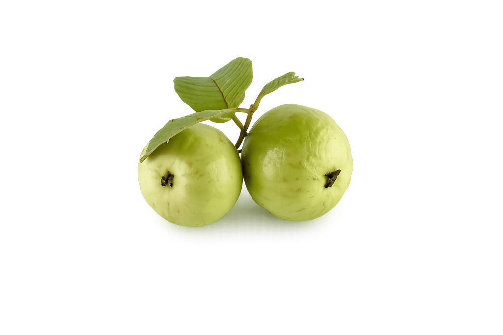 Guayabas frescas con hojas verdes